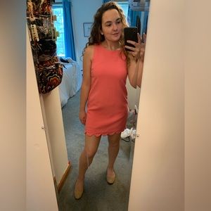 NWOT Monteau shift dress